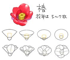 the step by step instructions for how to draw a flower