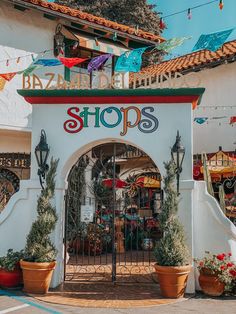 an entrance to a store with lots of potted plants on the outside and in front