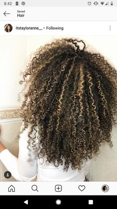 Dark Natural Hair With Highlights, Afro Hair Blonde Highlights, Highlights On 4c Natural Hair, 3c Highlights, 3c Curly Hair Highlights, Blonde Highlights Natural Hair, Honey Brown Highlights Curly Hair, Blonde Highlights With Lowlights, Balayage Curls