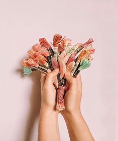 two hands holding up several different types of toothbrushes in front of a pink wall