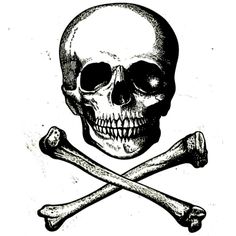 a skull and crossbones with two crossed bones on the front, vintage line drawing or engraving