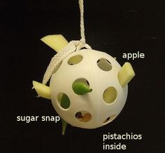 an apple shaped ornament hanging from a string with words describing the parts inside