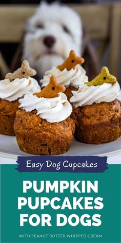 pumpkin cupcakes for dogs with peanut butter whipped cream