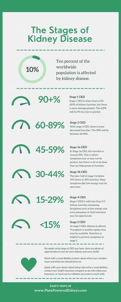 If you have learned that you have chronic kidney disease stage 3, look no further than this comprehensive guide about what you need to know. Dairy Free Breastfeeding, Body Inflammation, Kidney Detox, Acid Reflux Diet, Cramps Relief, Chronic Kidney, Kidney Damage, Skin Natural Remedies, Natural Healing Remedies
