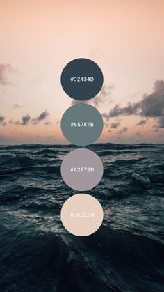 an image of the ocean with three circles above it that are labeled in different colors