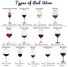 the types of red wine in different glasses