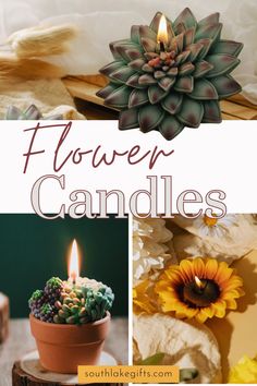 flowers and candles with the words flower candles on it in front of them are pictures of different types of flowers