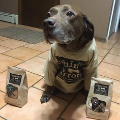 a dog sitting on the floor next to two bags of food and a bag of coffee