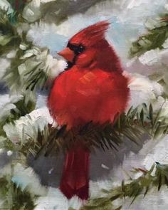 a painting of a cardinal sitting in a pine tree with snow on it's branches