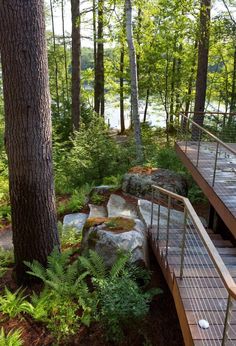 a wooden deck in the middle of a forest with stairs leading up to trees and rocks