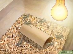 a light bulb that is on top of some wood shavings in the floor