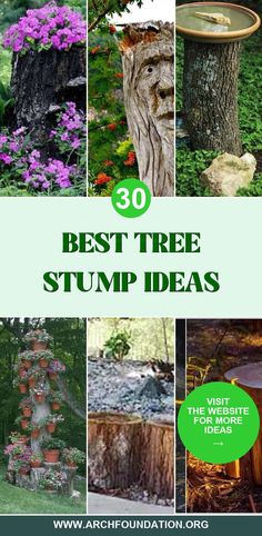 the top 30 best tree stump ideas for your garden or yard, including trees and flowers