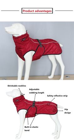 an image of a dog wearing a red coat with instructions on how to wear it