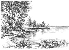 an ink drawing of a lake surrounded by trees