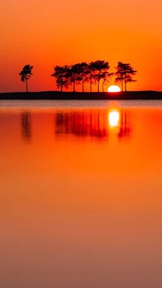 the sun is setting behind some trees in the water