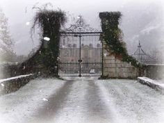 an iron gate with ivy growing over it and snow falling on the ground around it