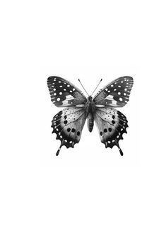 a black and white photo of a butterfly