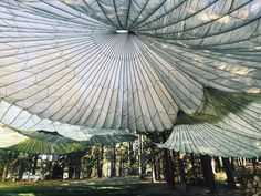 large white umbrellas hanging from the ceiling in a forest