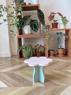 several potted plants are arranged on shelves in the corner of a room with wooden flooring