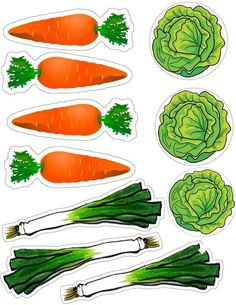 carrots, lettuce and celery stickers on a white background