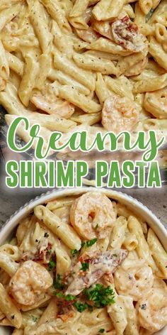 creamy shrimp pasta in a white bowl with parsley on top