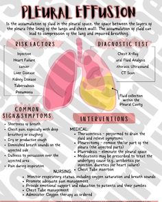 an info sheet describing the different types of lungs and their functions in each region of the body