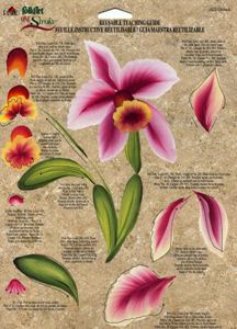 an image of orchids and other flowers on a piece of paper with words below it