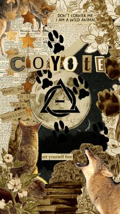 a collage of cats and dogs with the words coy o te on it