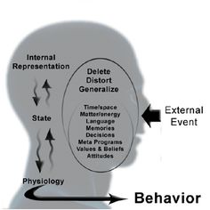 a diagram showing the effects of different events in a human's head and how they are related to each other