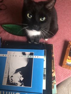 a black cat sitting on top of a bed next to a book and a laptop