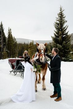 a bride and groom standing next to a horse drawn sleigh in the snow