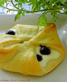 a croissant with blueberries and cream on it sitting in front of a potted plant