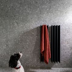 a black and white dog sitting in front of a radiator next to a towel rack