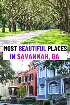 Top Photogenic spots in Savannah, Georgia which are must visit in Savannah, GA