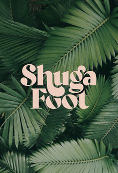 the words shuga foot are surrounded by green leaves