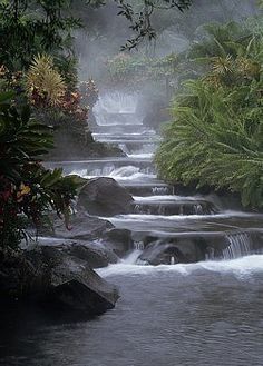 a river running through a lush green forest filled with lots of trees and bushes next to rocks