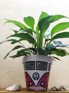 a potted plant sitting on top of a wooden table