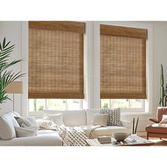 a living room filled with furniture and two windows covered in blinds that have bamboo shades