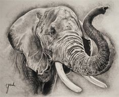 an elephant with long tusks is shown in this drawing