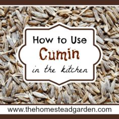 the words how to use cumin in the kitchen on top of a pile of seeds