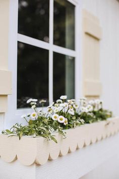 white flowers in a window box on the side of a building