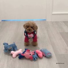 a small dog standing next to several stuffed animals