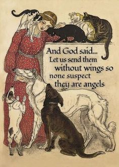 an old poster with cats and dogs on it's side, saying that god said let us send them without wings so none suspect they are angels