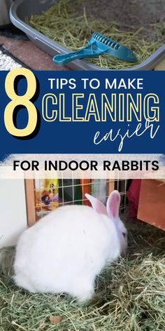 a rabbit sitting in hay with the words 8 tips to make cleaning easier for indoor rabbits