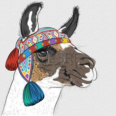 a llama wearing a colorful head scarf