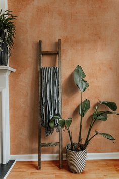 a plant in a pot next to a wooden ladder on the floor near a fireplace