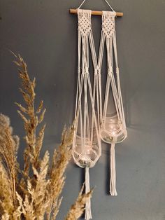 two white macrame hanging from a wall next to some dried flowers and plants