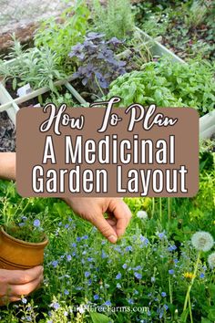 medicinal garden layout Medicinal Herbs And How To Use Them, Medicinal Herb Garden Layout, Homestead Layout, Hoop House, Nature Ideas, Garden Container