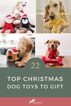 Top Christmas Dog Toys to Gift, christmas dog, dog toys Christmas Dog Toys, Dog Tips, Best Christmas, Dear Santa, New Toys