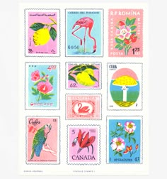 the postage stamp shows different types of flowers, birds and flamingos in various colors